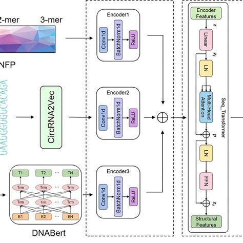 Image result for Image Classification Neural Network Feature Encoding