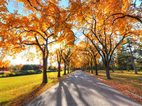 Image result for Autumn Homework EYFS