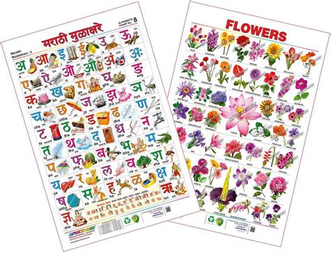 Spectrum Combo Educational Wall Chart (English Alphabets, Marathi ...