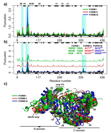 An Insight of RuBisCO Evolution through a Multilevel Approach
