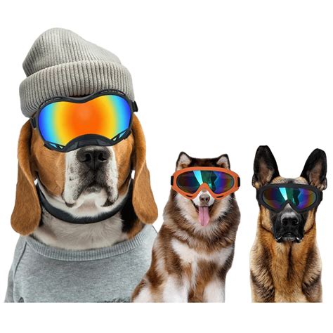 Company Overview - Juice Pet Group Limited