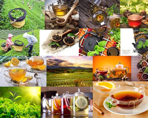 茶叶品茶摄影高清图片 - 爱图网设计图片素材下载