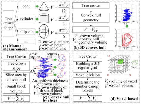 A Concave Hull Methodology for Calculating the Crown Volume of ...