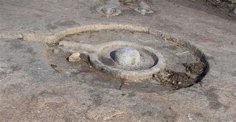 Image result for Alien Evolution History