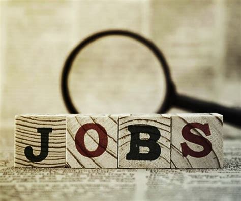 Find Employment 的图像结果