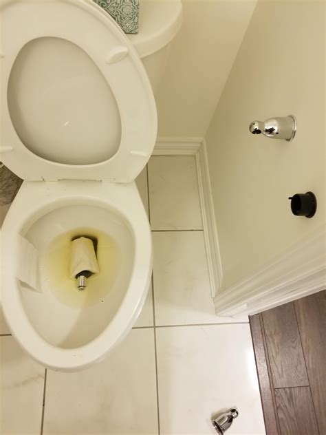 FML Bathroom 的图像结果