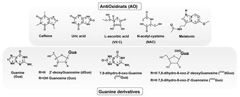 A Comparison of the Electronic Properties of Selected Antioxidants ...