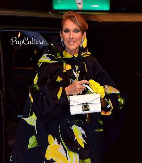 Céline Dion on Instagram: “The QUEEN is in NYC 🇺🇸😍 @celinedion ...