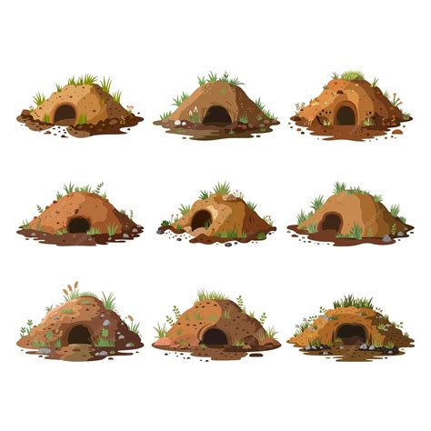 Collation of groundhog burrow vector illustration | Premium AI ...