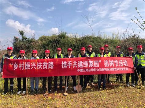 中建五局总承包公司岳阳保利堂悦项目开展植树节志愿活动