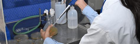 Ph.D in Chemical Engineering from MIT-WPU | Research in Chemical ...