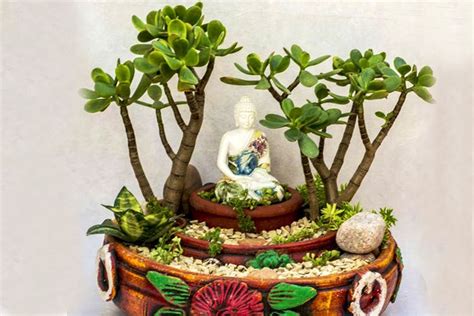 Chiguru, The Miniature Garden Store | LBB, Bangalore