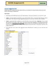 Access Assignment 的图像结果