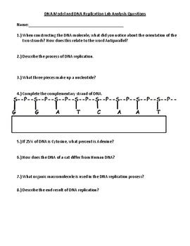 Image result for DNA Replication Lab