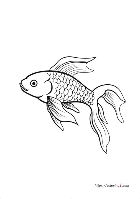Koi Fish - Free Coloring Sheet