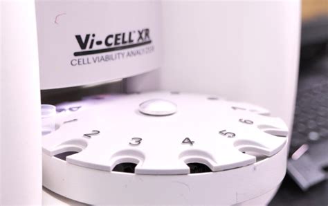 Image result for Shell Upstream Process