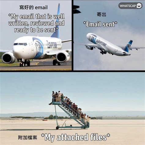 漏下最重要的 | Whatscap
