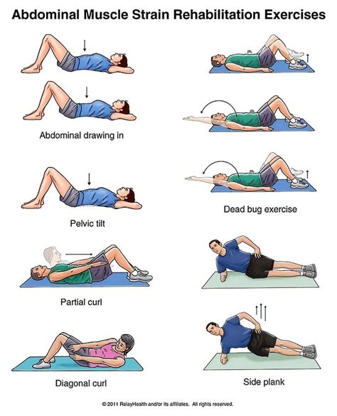 Abdominal Muscle Strain Exercises ~ Illustration | Health•Workout ...