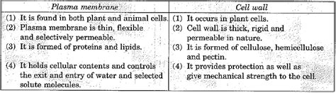 Class 9 Science: Sample Question Paper- 9 (With Solutions) | Sample ...