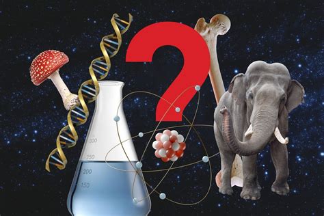 Science Questions 的图像结果