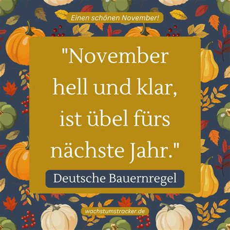 55 schöne Sprüche zum November & Gedichte für November