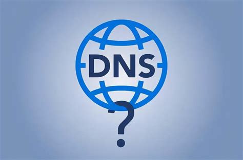 DNS 的图像结果