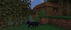 Image result for Minecraft Swamp Hut Tutorial