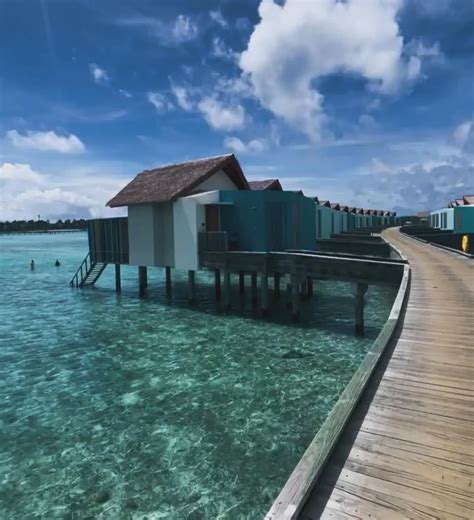 Image result for Passcode Male City