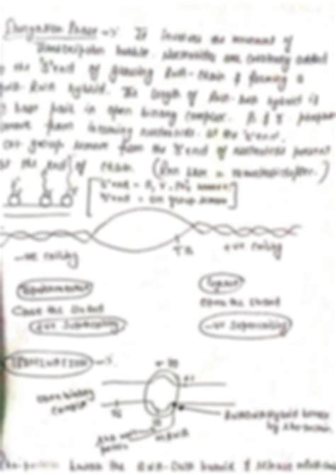 Image result for DNA Replication Notes