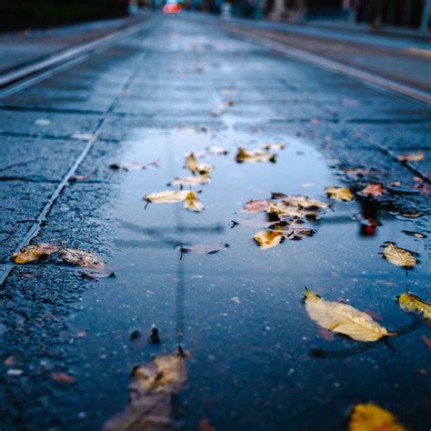 Car Insurance Frederick - Fall Driving Hazards