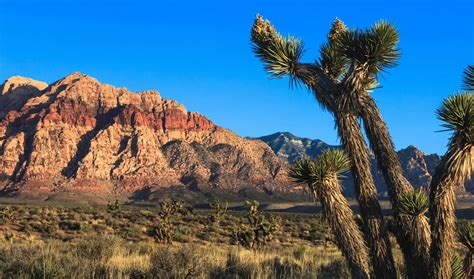 Washington Tint Laws [An In-Depth Guide] | West Coast Trial Lawyers