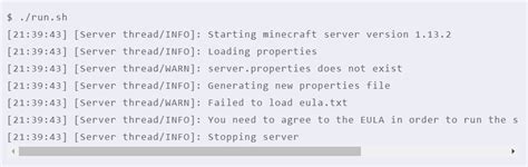 Setup Minecraft JavaServer Linux 的图像结果