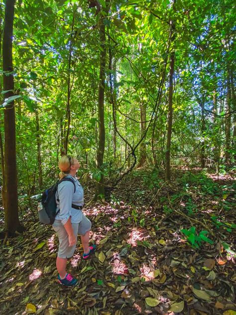 Is Costa Rica Expensive? Actual Costs To Visit In 2024 - World traveler guide