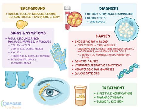 Xanthomas: What Are They, Causes, Signs, Symptoms, and More | Osmosis