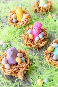 Image result for Baby Bunny Nest