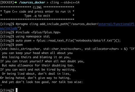 Using C Programming On Repl.it 的图像结果
