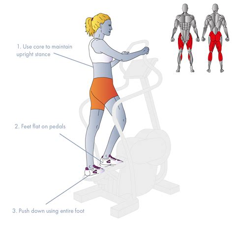 Image result for Step Machine Gym