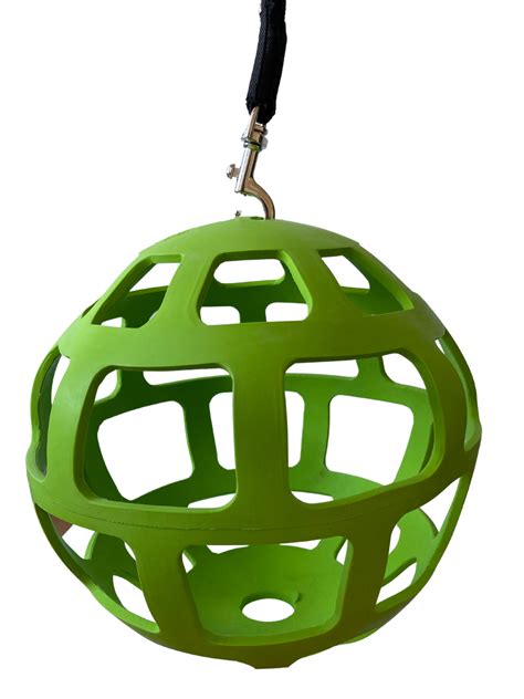 Image result for Lexa Fun Time