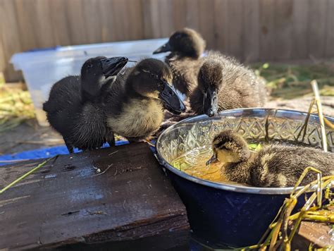 TW Pornstars - Charlie Cruise. Twitter. 1:59 AM - 11 Aug 2022