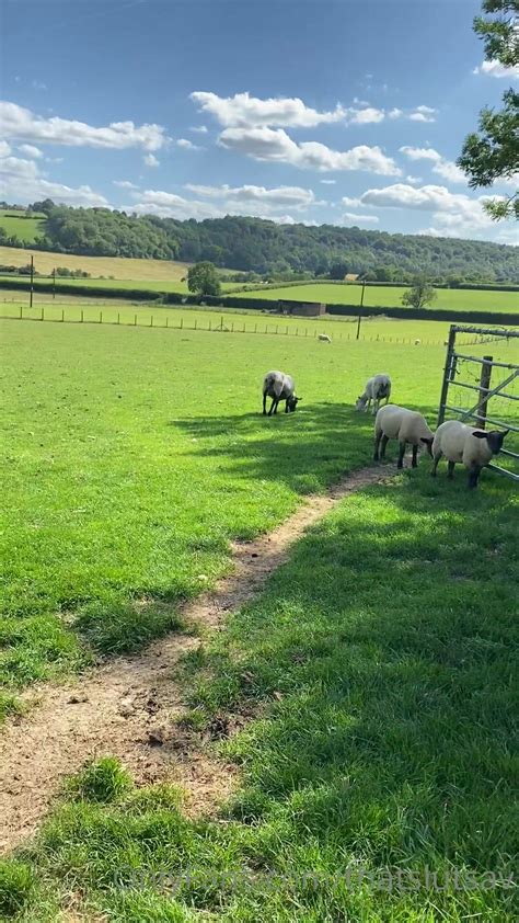 Savana Sky aka thatslutsav onlyfans put two fingers into her anus - camHUB.cc