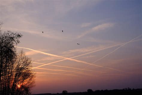 Image result for Muskrat Hunting