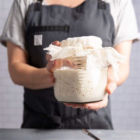 Buy Sourdough Starter | San Francisco Sourdough Starter for Sale Online ...