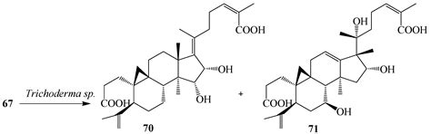 Microbial-Catalyzed Biotransformation of Multifunctional Triterpenoids ...