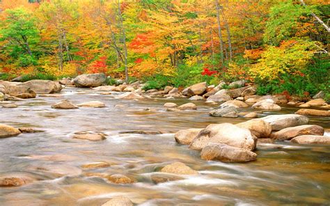 Landscapes Nature Desktop Hd Wallpaper 46208 : Wallpapers13.com