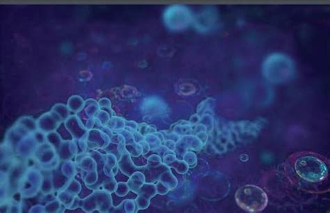 Frcpath Part 1 Histopathology Questions & Past Papers, Preparation ...