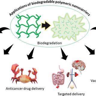 Image result for Biodegradable Polymers Examples
