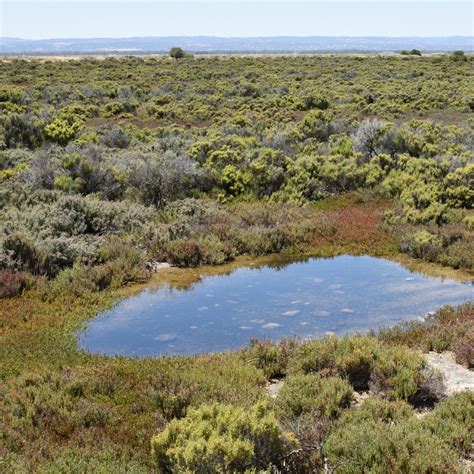 Biotic Component – Seamap Australia