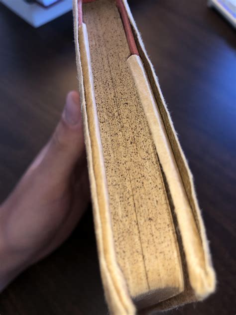 Is this mold or foxing? : r/BookCollecting