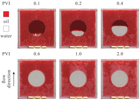 Directional Dependency of Relative Permeability in Vugular Porous ...