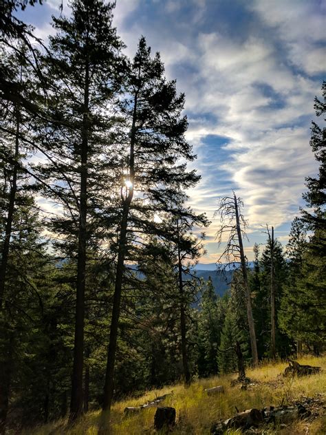 Elevation of Legends Pkwy, Coeur d'Alene, ID, USA - Topographic Map ...